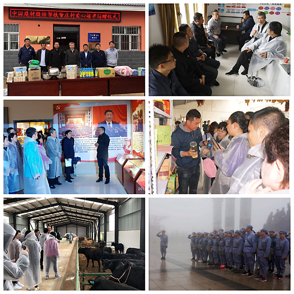 云顶集团3118(中国)官方网站